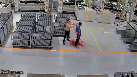 seegore y3df